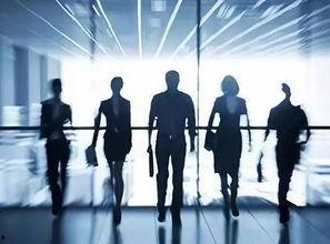 孙东前员工爆料视频,揭露公司内幕与真相  第2张